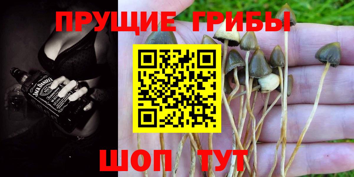 Псилоцибиновые грибы прущие грибы  Вход с VPN  Елец 